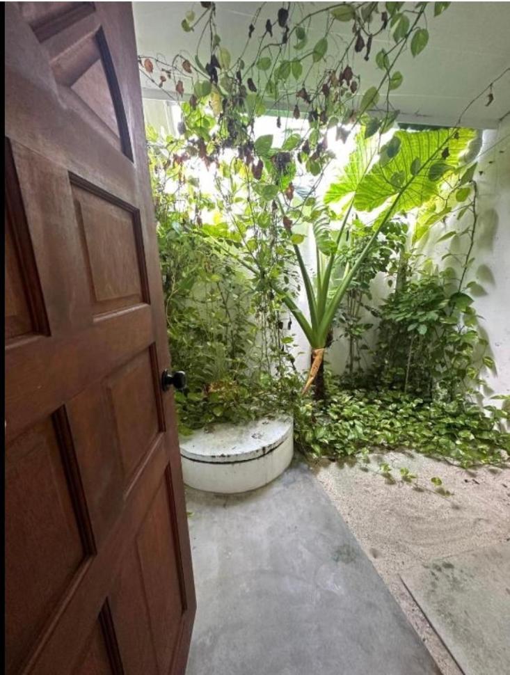 Hotel Aqua Oasis Thoddoo-Atoll Exterior foto